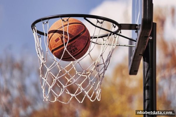 SG飞艇彩票玩法全解析：组三与组六策略指南，nba投注平台节日红包助你提升收益